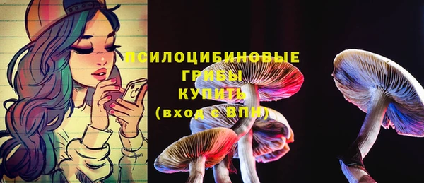MESCALINE Алзамай