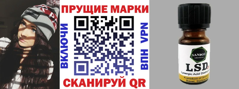 где купить наркоту  Новоузенск  Марки NBOMe 1,8мг 